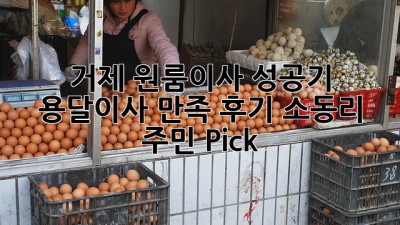 거제 원룸이사 성공기✨ 용달이사 만족 후기 (소동리 주민 Pick!)