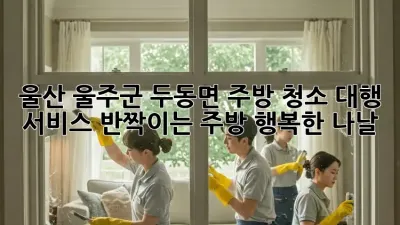 울산 울주군 두동면 주방 청소 대행 서비스: 반짝이는 주방, 행복한 나날